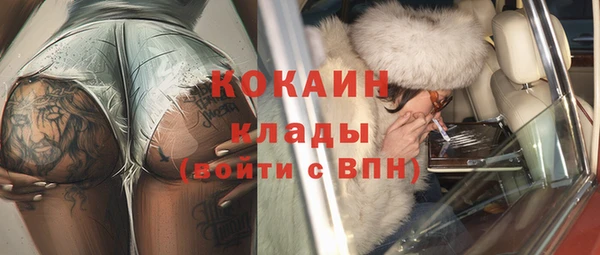 дживик Аркадак