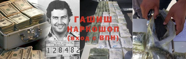 хмурый Пересвет