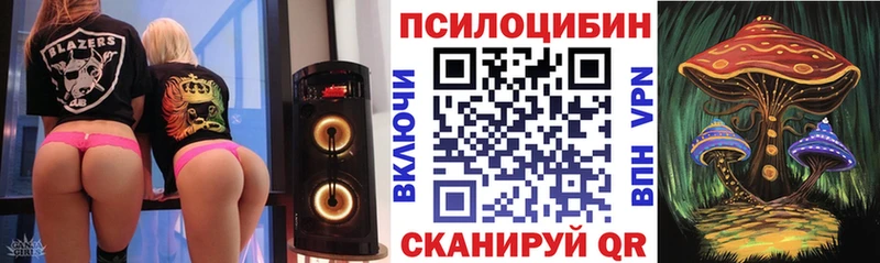 omg ссылки  где можно купить   Могоча  Галлюциногенные грибы Cubensis 