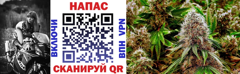 Конопля план  Могоча 